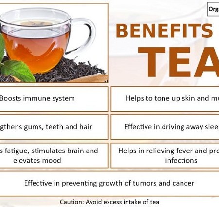 7 lợi ích của trà hiện nay